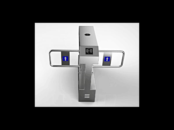 桥式双机芯摆闸